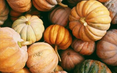 HomeStyle Mortgage Thanksgiving Special | Loan Depot